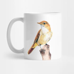 Nightingale Songbird Mug